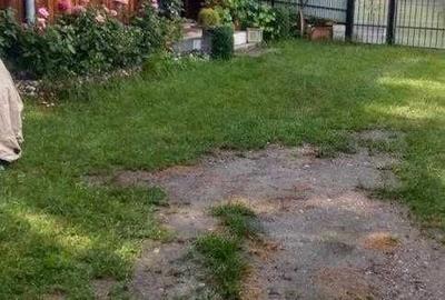 Casă cu 4 camere în Paltin - 4