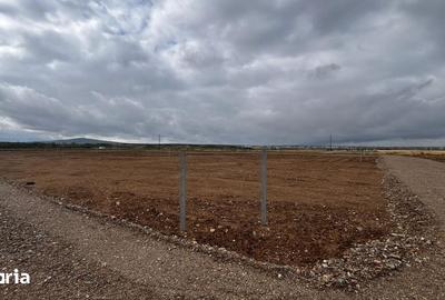 Teren de 500 mp, în Sânmartin - 3