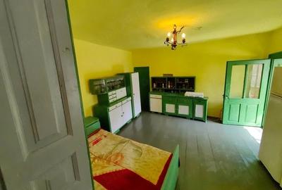 Casă cu 3 camere cu Teren 2448 Mp în Central