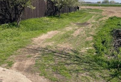 Teren Construcții extravilan de 3300 mp, în Bragadiru - 2