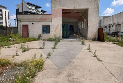 Spațiu industrial, de 200 mp, în 13 Decembrie - 12