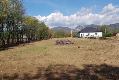 Teren de 3729 mp, în Polovragi - 6