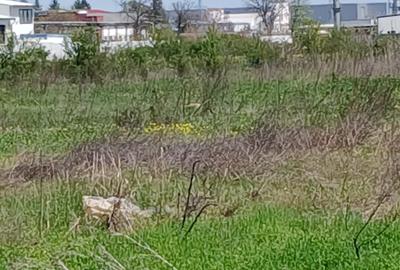 Teren Construcții intravilan de 6100 mp, în Theodor Pallady - 1