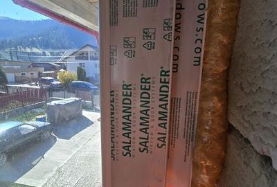 Casă cu 4 camere cu Teren 350 Mp în Borca - 5