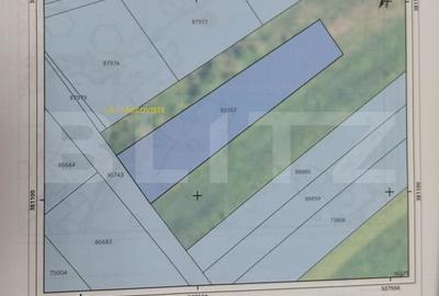 Teren Construcții intravilan de 800 mp, în Centură