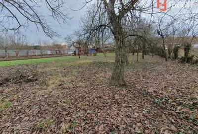 Apartament cu 5 camere nedecomandat, mobilat în Deta - 17