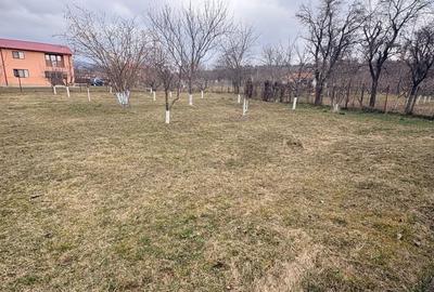 Casă cu 4 camere cu Teren 1326 Mp în Mera - 15