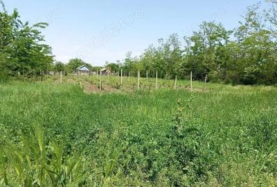 Teren de 2580 mp, în Potângeni - 2