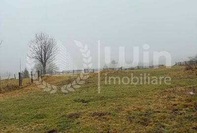 Teren Construcții intravilan de 1716 mp, în Mărișel - 6