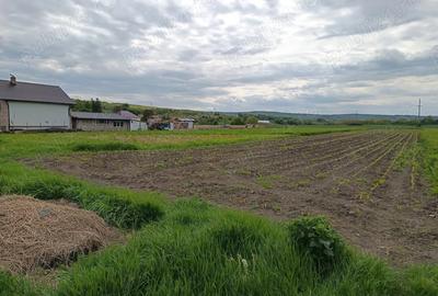 Teren de 5800 mp, în Luna - 2