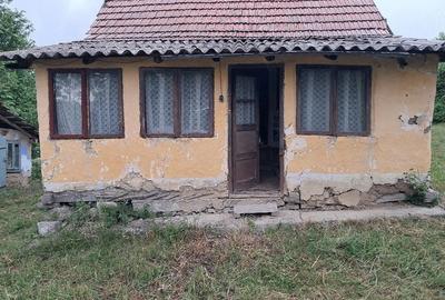 Casă cu Teren 2500 Mp în Gura Văii