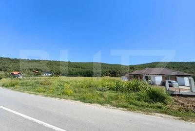 Teren de 4900 mp, în Hăpria - 5