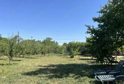 Teren de 1500 mp, în Central