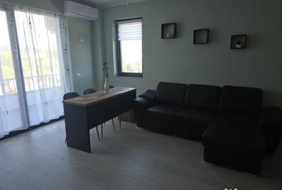 Apartament cu 2 camere decomandat în Ostroveni - 3