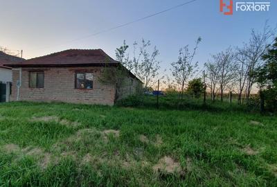 Casă individuală cu 5 camere cu Teren 3489 Mp în Gătaia - 4