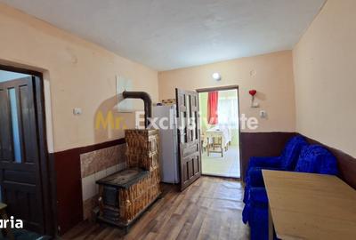 Casă cu 3 camere cu Teren 1667 Mp în Teiu
