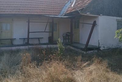 Casă cu Teren 2254 Mp în Bruznic
