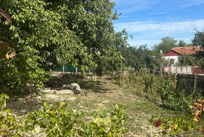 Casă cu 2 camere în Zărnești - 3