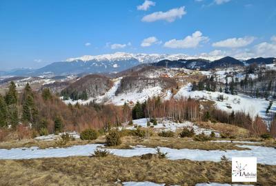 Teren Construcții extravilan de 150000 mp, în Șirnea - 9