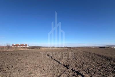 Teren Construcții intravilan de 3500 mp, în Exterior Sud - 5