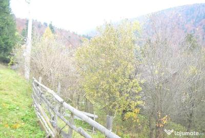 Teren de 1300 mp, în Valea Alba - 4
