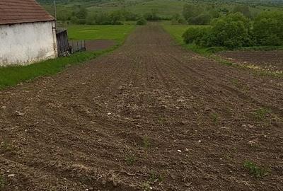 Teren de 4700 mp, în Merghindeal