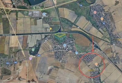 Teren Construcții intravilan de 100000 mp, în Cernica - 1