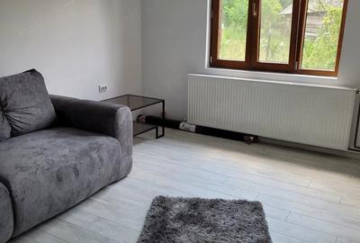 Casă cu 3 camere cu Teren 1100 Mp în Drăghici - 3