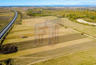 Teren Construcții extravilan de 31700 mp, în Uliești - 10