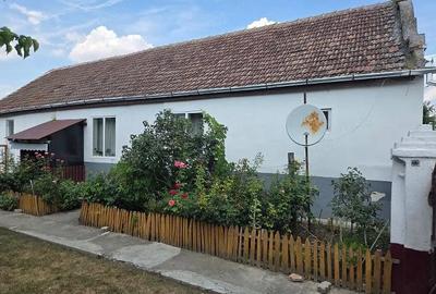 Casă cu 2 camere cu Teren 1150 Mp în Pustiniș