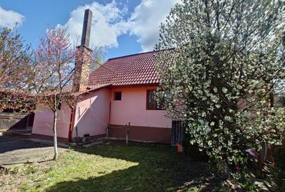 Casă individuală cu 5 camere cu Teren 1440 Mp în Brazii - 15