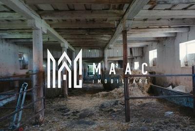 Spațiu industrial, de 1,250 mp, în Apoldu de Sus - 5