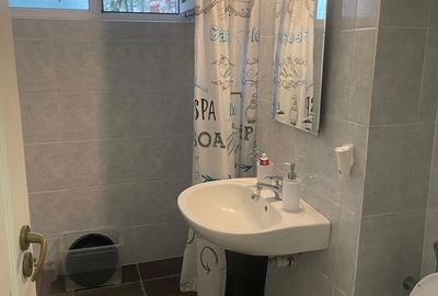 Apartament cu 2 camere nedecomandat, mobilat în Podu Roș - 1