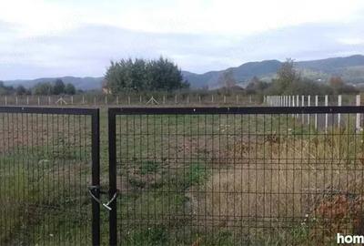 Teren de 1100 mp, în Tăuții-Măgherăuș