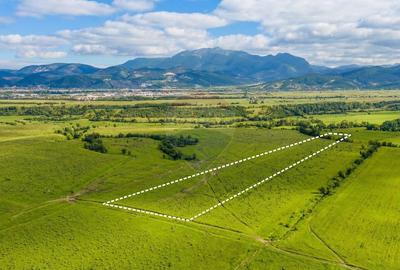 Teren agricol extravilan de 8329 mp, în Glăjărie - 3