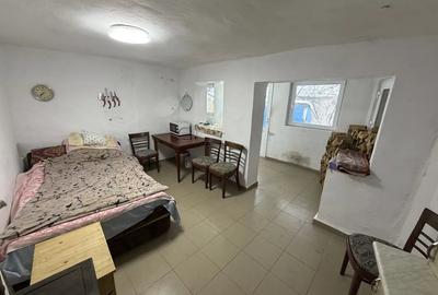 Casă cu Teren 851 Mp în Uileacu de Beiuș - 1
