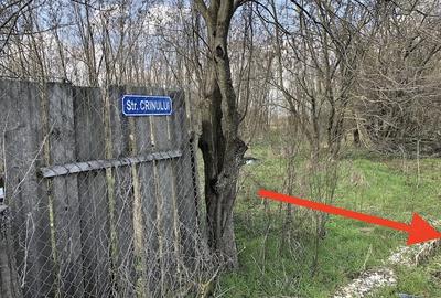 Teren de 1000 mp, în Valter Mărăcineanu - 1