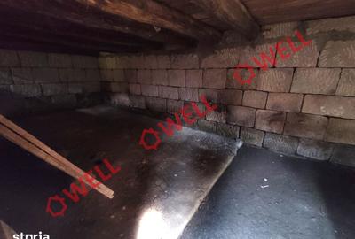 Casă cu Teren 1647 Mp în Mereni - 4