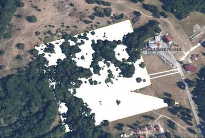 Teren Construcții intravilan de 79915 mp, în Cioplea - 5
