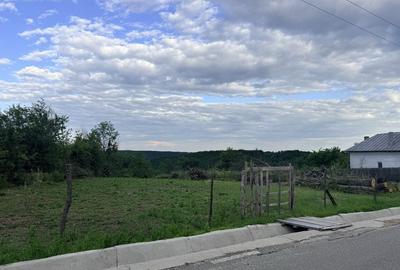 Teren de 3000 mp, în Băbana - 6