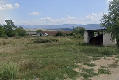 Teren de 6660 mp, în Lăpușnicu Mare - 3