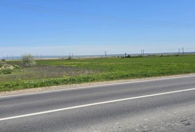 Teren extravilan de 2 mp, în Tișița - 9
