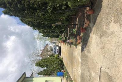 Casă cu 4 camere cu Teren 2000 Mp în Pădureni (Jebel) - 6