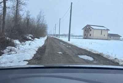 Teren de 10600 mp, în Bolintin-Deal - 2