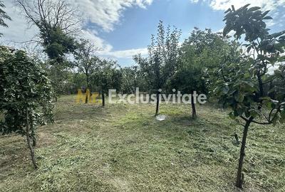 Casă cu Teren 1176 Mp în Lunca