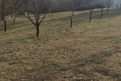 Teren de 3600 mp, în Isverna - 1