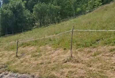 Teren de 8000 mp, în Arieșeni - 2
