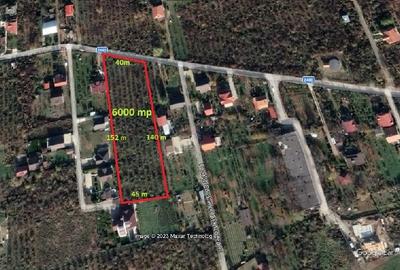 Teren de 5600 mp, în Bârnova - 2