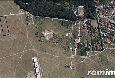 Teren de 5005 mp, în Băneasa - 4