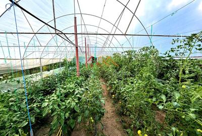 Casă individuală cu 6 camere cu Garaj în Valea Lungă - 17